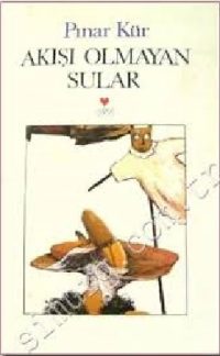 Akışı Olmayan Sular